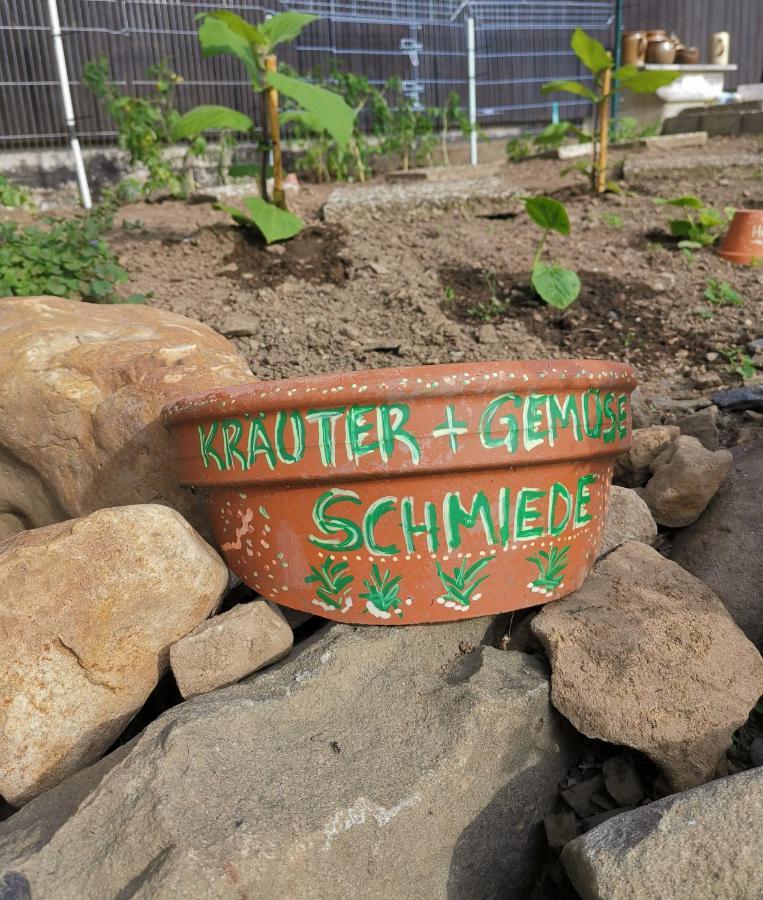 Hotel Zur Schmiede Altenau  Zewnętrze zdjęcie